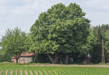 Randonnée A pied Hünxe - Gartrop Rundweg A5 - Photo