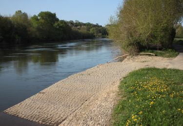 Randonnée A pied Béhuard - Béhuard : flânerie autour de l'île - Photo