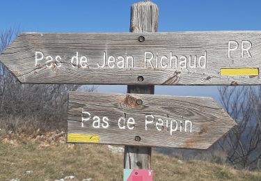 Trail Walking Peipin - PEIPIN Chemin des Cotes Lure o s - Photo