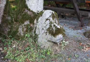 Trail On foot Weismain - Fuchstrail - Photo