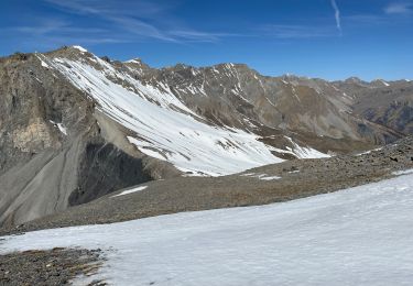 Trail Walking Péone - Cime Nègre - Photo