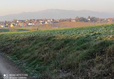 Percorso Marcia Heimsbrunn - Heimsbrunn - Photo