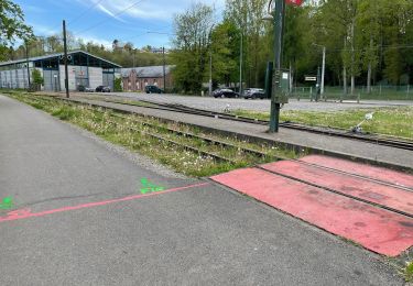 Percorso Marcia Thuin - Saint-Roch Autrement - Parcours rouge - Table Ronde de Thuin - Photo