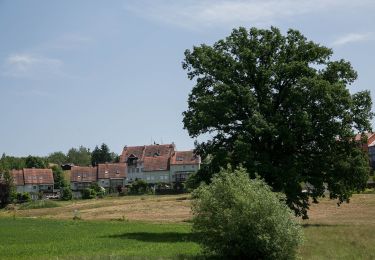 Trail On foot Sankt Josef - Wanderweg 17 - Photo