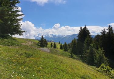 Randonnée Marche Villard-sur-Doron - Hameau du Beaufortain - La Croix de Coste - Photo