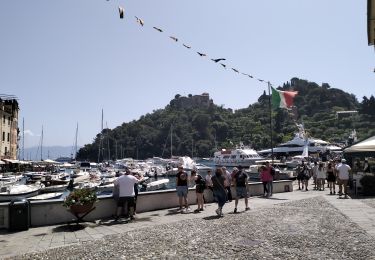 Percorso Marcia Portofino - Portofino-margherita-8kmD350m-mai22 - Photo