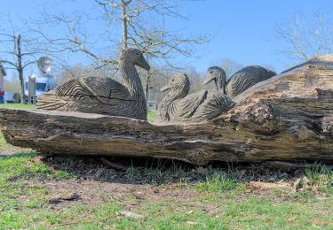 Tour Zu Fuß Willebroek - Vekielpad - Photo