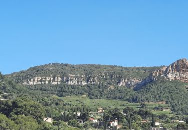 Trail Walking La Ciotat - la ciotat - cassis par les cretes - Photo