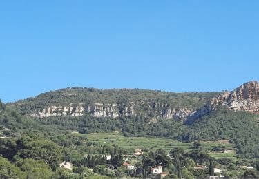 Tour Wandern La Ciotat - la ciotat - cassis par les cretes - Photo