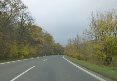 Excursión A pie okres Pezinok - Vinohradnícky náučný chodník - Photo