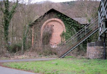 Tour Zu Fuß Lahnstein - Rundwanderweg B1 - Photo