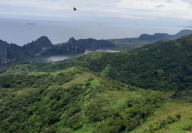 Tour Wandern Hienghène - la poule - Photo