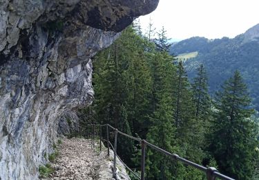 Randonnée Marche Bellecombe-en-Bauges - Pointe de Banc Plat en boucle  - Photo