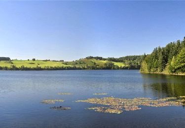 Trail Walking Trémouille - Cregut_St_Genes_Champespe - Photo