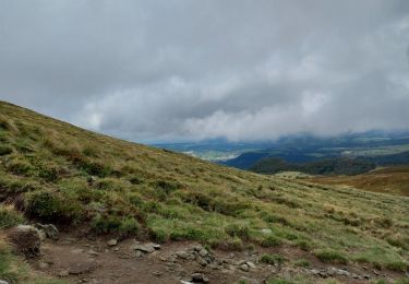 Trail Walking Chambon-sur-Lac - Col de la croix Morand - Puy  Sancy  - Photo