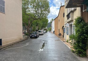 Trail Walking Néoules - Neoules crête 19,5 km - Photo