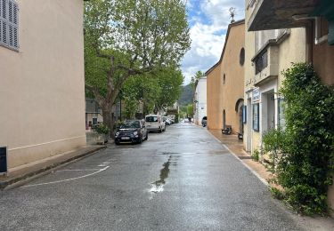 Percorso Marcia Néoules - Neoules crête 19,5 km - Photo