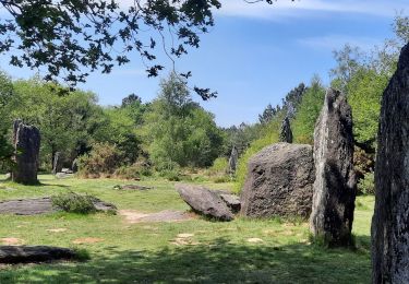 Tour Wandern Monteneuf - PR_56_Monteneuf_AA_01_Circuit1b_Boucle-Des-Megalithes_20220508 - Photo