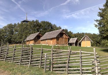 Percorso A piedi Gemeinde Schwarzenbach - Mostheurigenrunde 2 (Schwarzenbach) - Photo