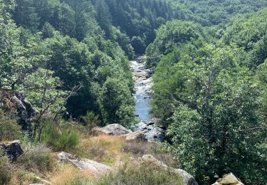 Randonnée Marche Brassac - Tour du Salas variante nord - Photo