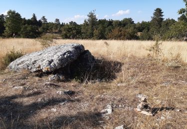 Trail Walking Banassac-Canilhac - GR60 jour 7 - Photo