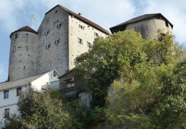 Percorso A piedi Lappersdorf - W 57 Schwaighausen - Duggendorf (Grünes Dreieck) - Photo