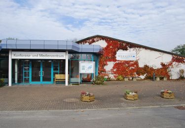 Tocht Te voet Bönnigheim - Bönnigheimer Rundwanderweg - Photo