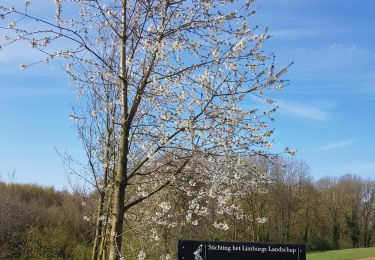 Tour Wandern Eijsden-Margraten - Bemelen - Photo