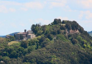 Tocht Te voet Pomarance - Libbiano - Villa di Monterufoli - Photo