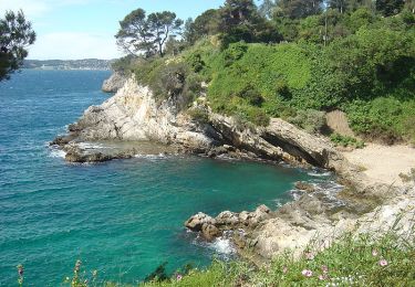 Excursión Senderismo Le Rove - Niolon, Cap Méjean, Figuière - Photo