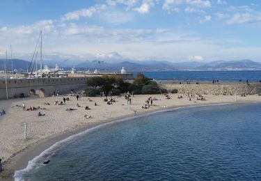 Tocht Mountainbike Villeneuve-Loubet - antibes - Photo