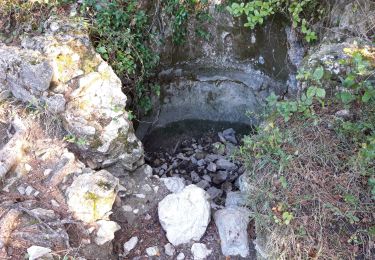 Percorso Marcia Le Revest-les-Eaux - le Mt Combe-20-05-22 - Photo