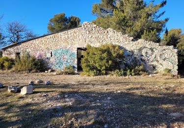 Trail Walking Peynier - le Garri - Photo