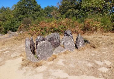 Excursión Senderismo Tréhorenteuc - Broceliande - Photo