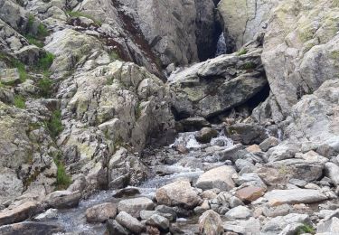 Trail Walking Chamonix-Mont-Blanc - la Fregere - Lac blanc  - Photo