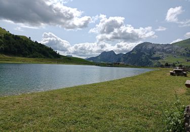 Tocht Stappen Le Grand-Bornand - bouts - Photo