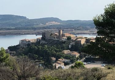 Tocht Stappen Peyriac-de-Mer - 20211024 boucle Peyriac-de-mer, Bages - Photo