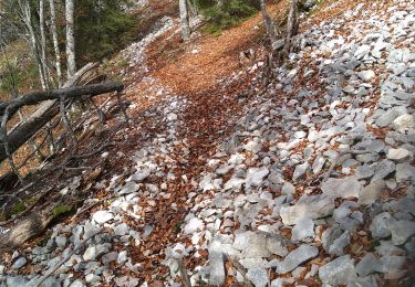 Tour Wandern Champfromier - Champfromier les avalanches - Photo