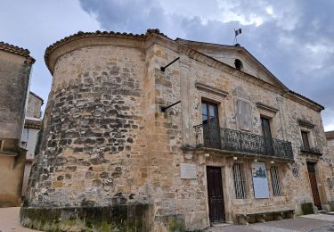 Randonnée Marche Rochefort-du-Gard - Autour de Rochefort du Gard - Photo