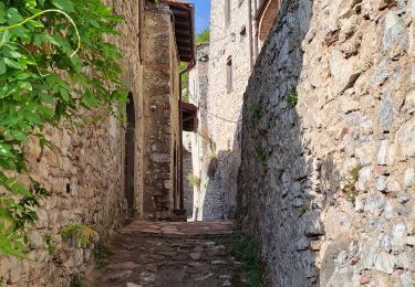 Tocht Stappen Bagni di Lucca - Lucchio (Bagni di Lucca) - Photo