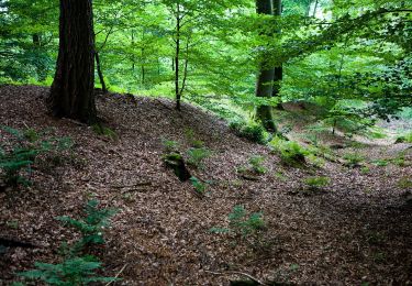 Randonnée A pied Auetal - Dr. Eduard Braun Weg - Photo