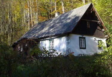 Percorso A piedi Ojców - Szlak Jaskini Ciemnej - Photo