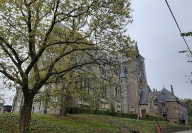 Tocht Stappen Luik - chenee beynes chevremont chenee - Photo