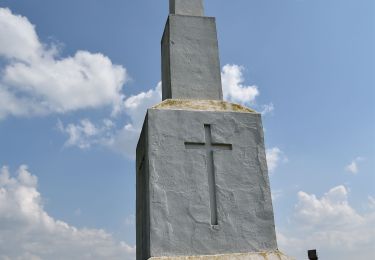 Trail Walking Herve - 20220424 - ADEPS Charneux - 12 Km - Photo