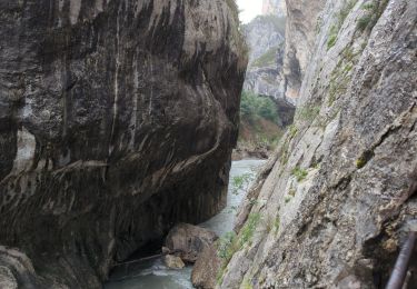 Trail Walking La Palud-sur-Verdon - Sentier Blanc Martel - Photo