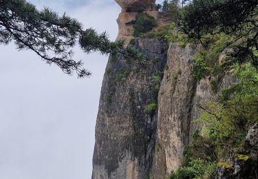 Randonnée Marche Saint-Pierre-des-Tripiers - Corniches Tarn et Jonte - Photo