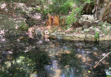 Trail Walking Conca - Paliri Conca - Photo