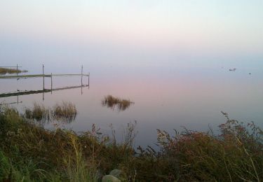 Tocht Te voet  - Amagerminoen - Photo