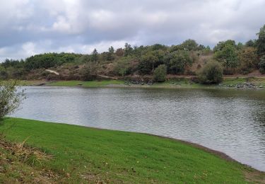 Excursión Bici de montaña Maché - les lacs vendee - Photo