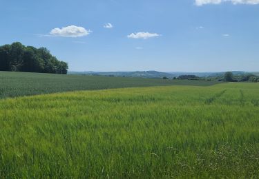 Tocht Stappen Ferrières - palogne - Photo